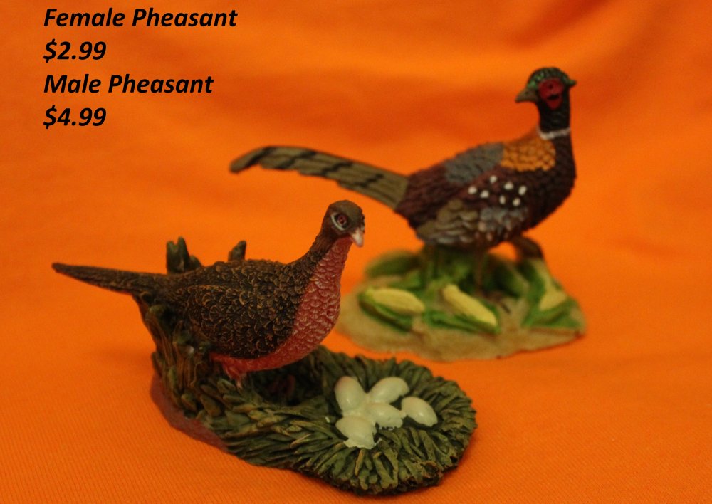 Hen and Cock Pheasants
